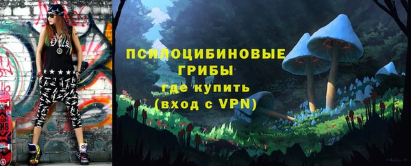 винт Алексин